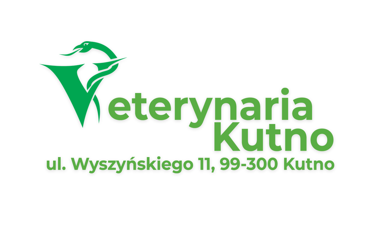 Usługi Przychodnia Weterynaryjna Kutno Ul Wyszyńskiego 11 Doświadczony Weterynarz 5001